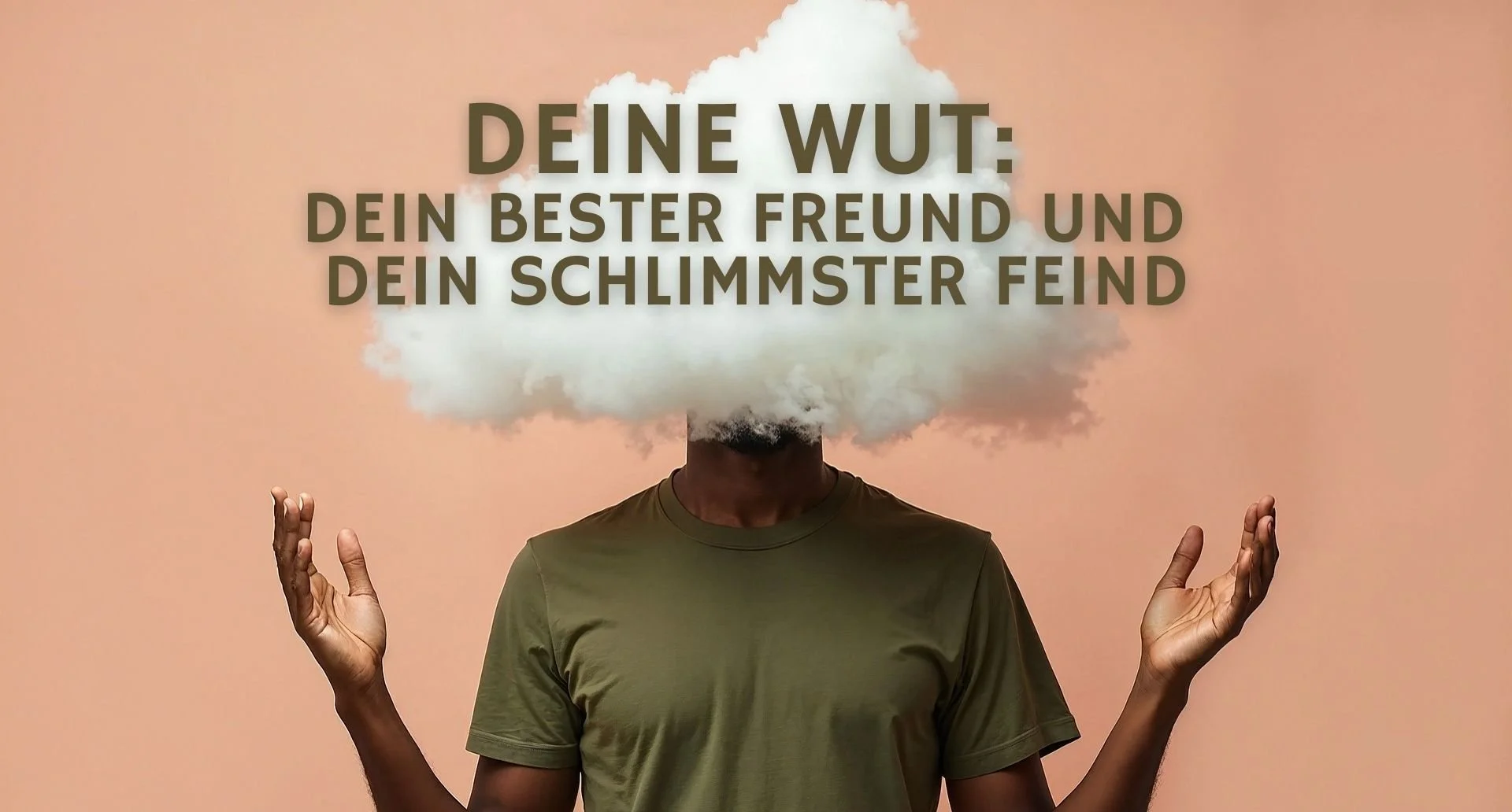 Udemy-Kurs: Deine Wut-Reihe